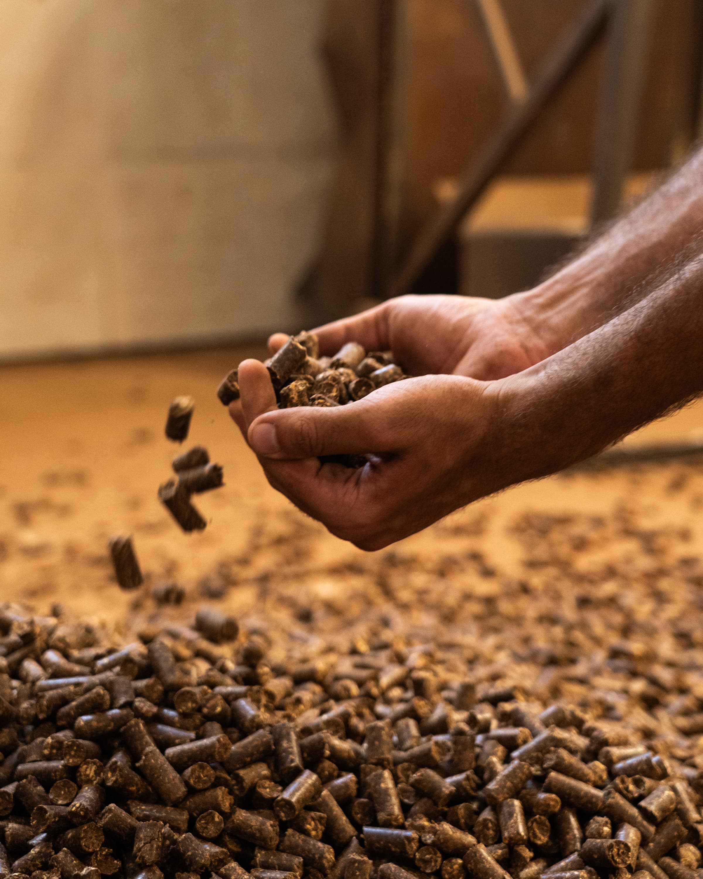 In Ayvazian’s hands are the pellets, converted from various sustainable organic waste such as olive mill residues and forest prunings. 