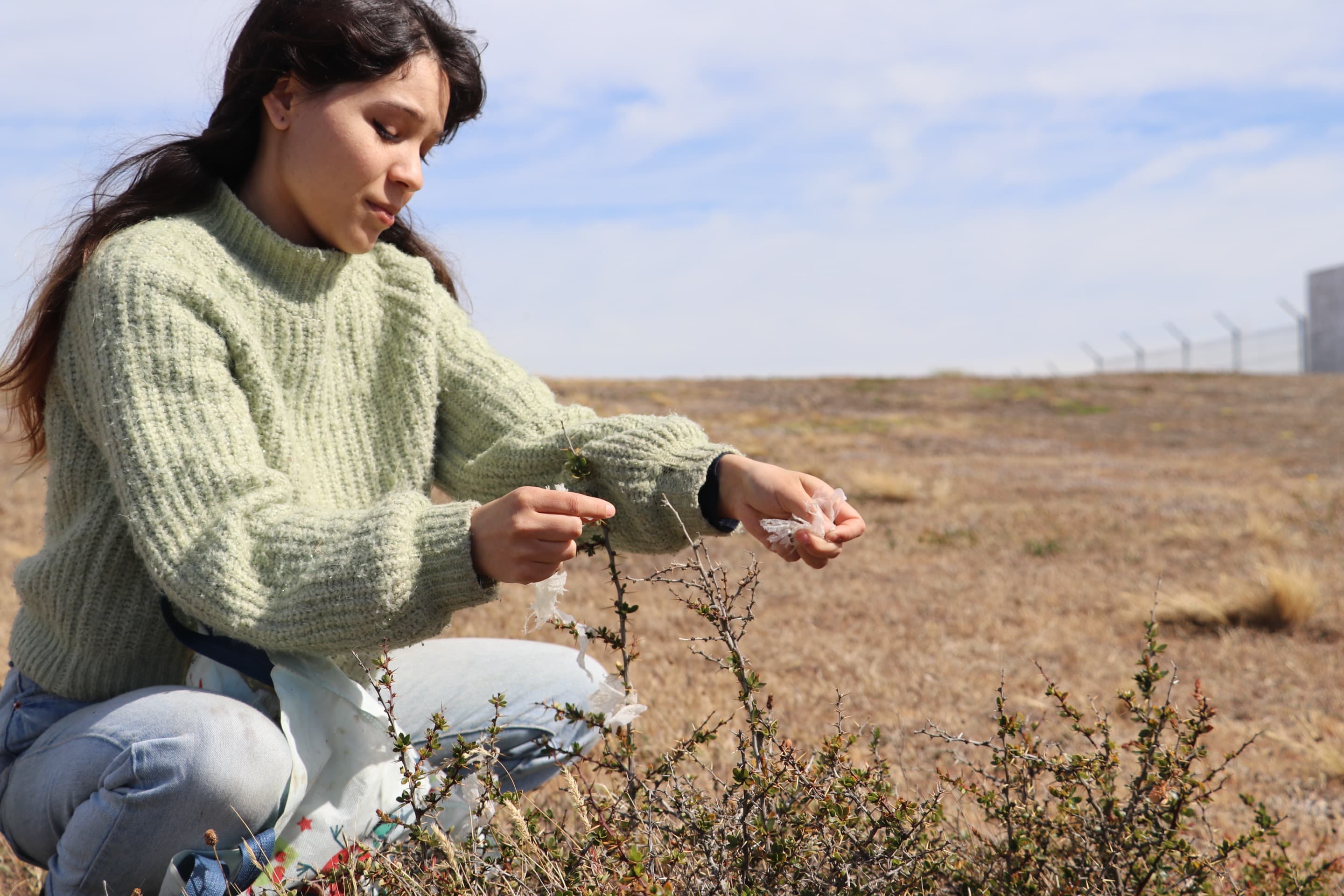 Marilita Quintana sits in a field and removes plastic waste caught in the grass in Tierra del Fuego. 