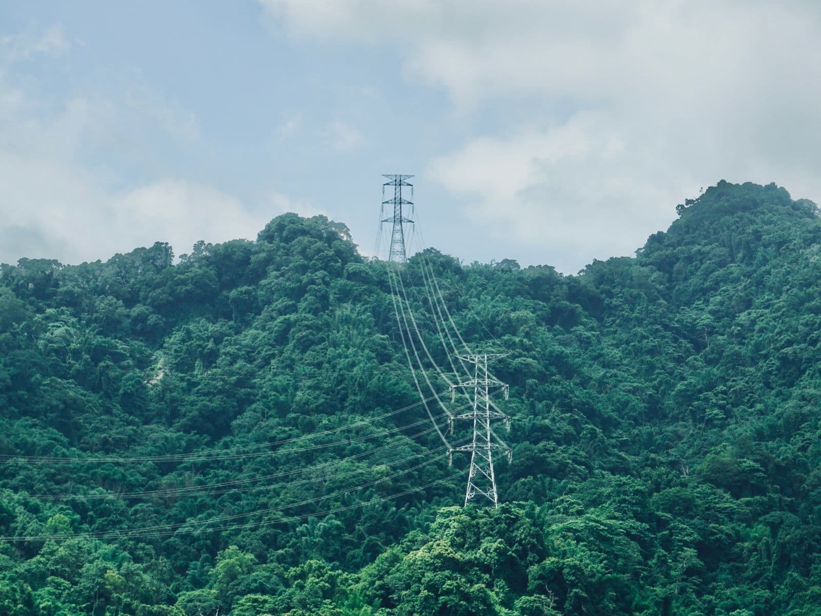 Pylons on a tree-covered mountain. 