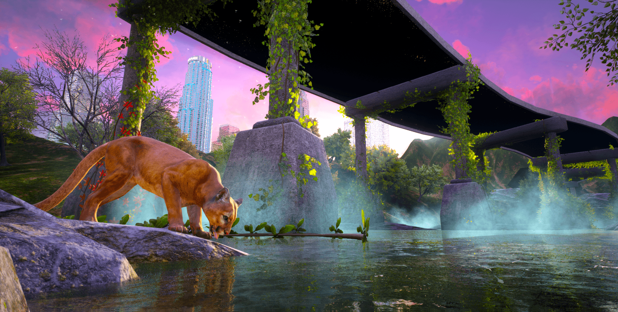 A mountain lion laps up water from the Los Angeles River in a still from The Alluvials film.