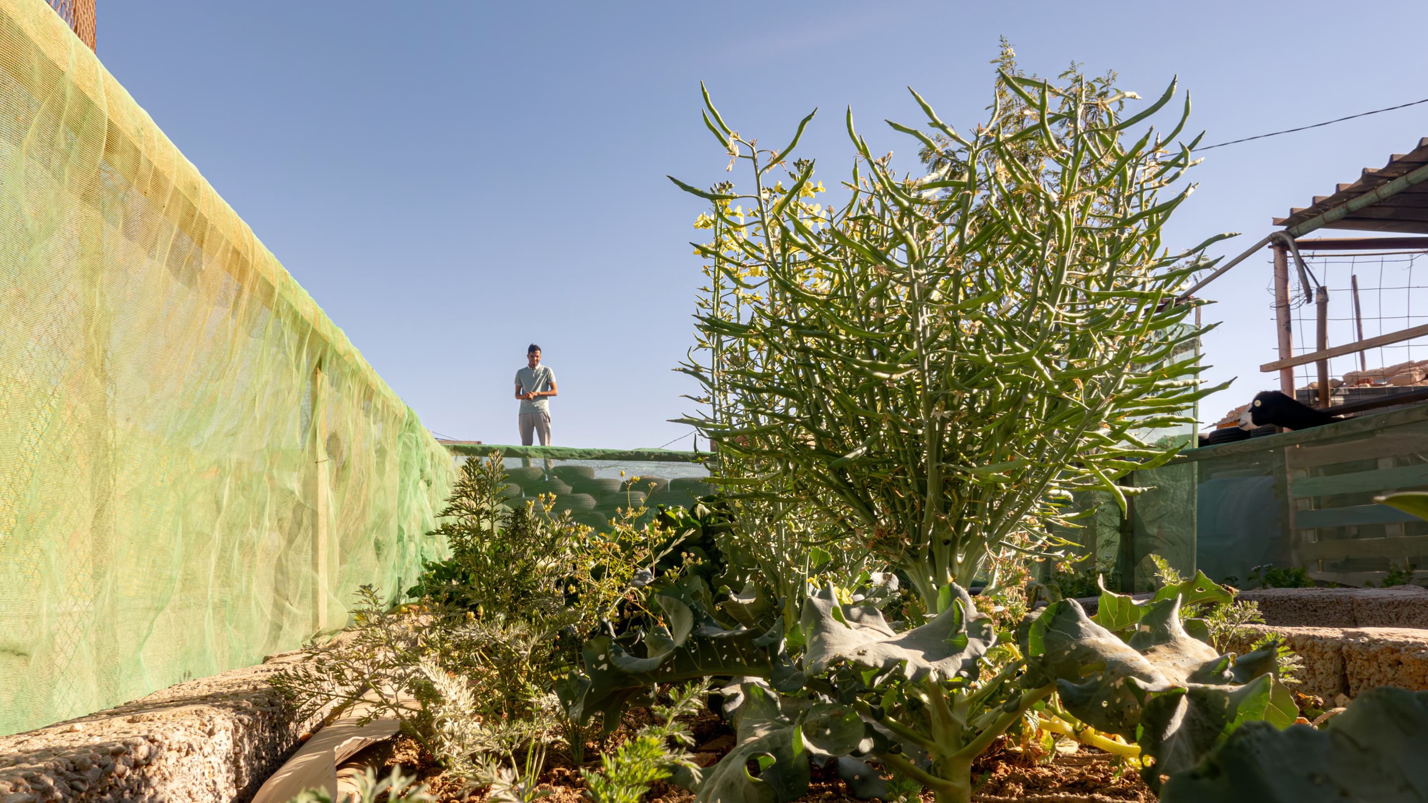 The Nomad Garden