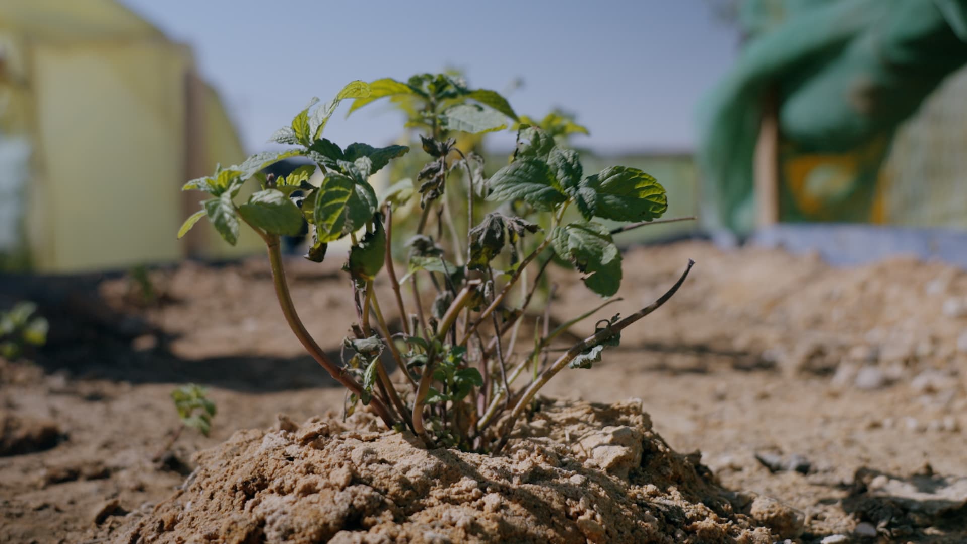 Mohamed Salem Mohamed Ali and Beatrice Galilee during the panel Young Climate Stories Screening at MillerKnoll NYC flagship
